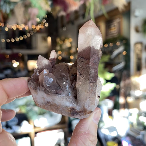 Red Phantom Quartz "Geraldine"