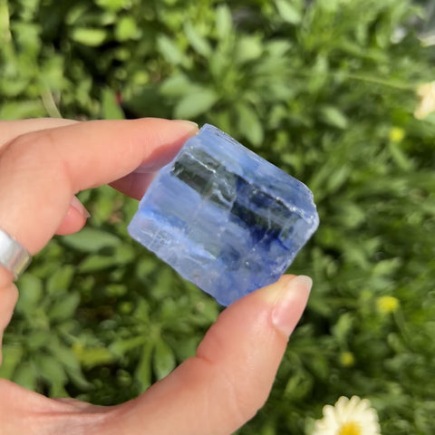 Blue Halite "Bella"