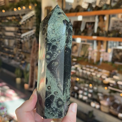 Kambaba Jasper "Dorothy"