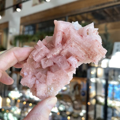 Pink Halite "Vi"