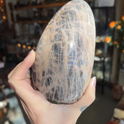 Black Moonstone "Winston"