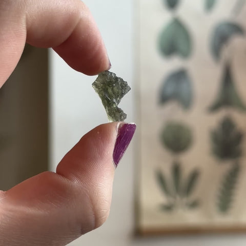 Moldavite "Zander"