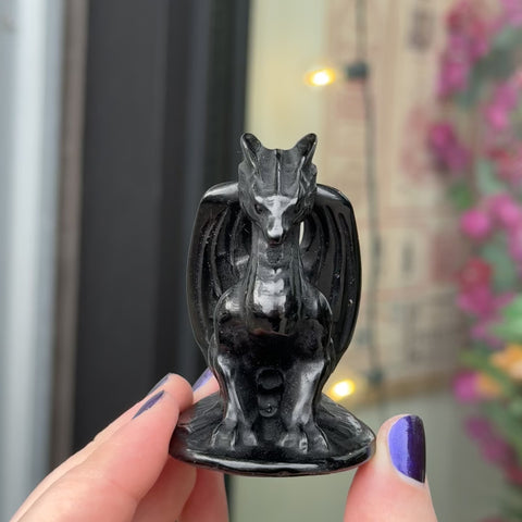 Obsidian Dragon "Jordan"