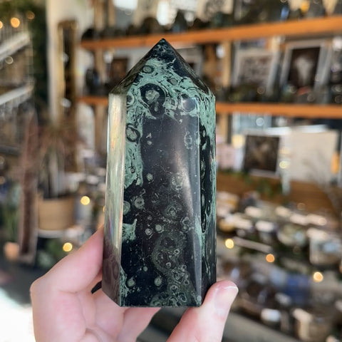 Kambaba Jasper "Benjamin"