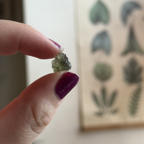 Moldavite "Georgia"