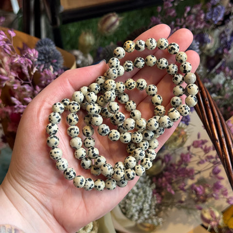 Ravenstone Crystals Dalmatian Jasper Stretch Bracelet