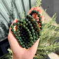Ravenstone Crystals Russian Jade Stretch Bracelet | 9mm