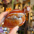 Ravenstone Crystals Sardonyx Turtle "Allison"