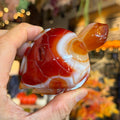 Ravenstone Crystals Sardonyx Turtle "August"