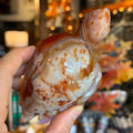 Ravenstone Crystals Sardonyx Turtle "Desmond"