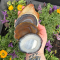 Ravenstone Crystals Agate Slice