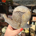 Ravenstone Crystals Agate Snail "Joyce"
