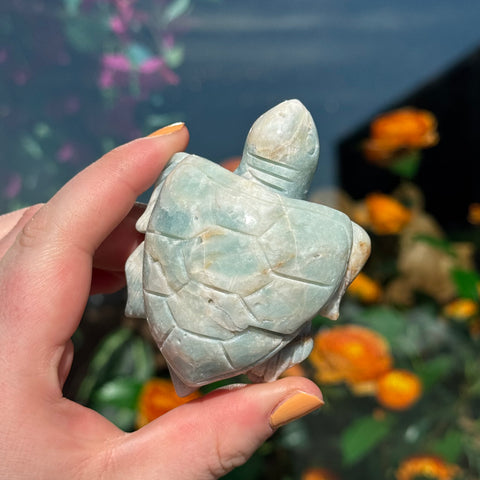 Ravenstone Crystals Amazonite Turtle "Stephen"