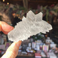Ravenstone Crystals Angel Wing Selenite "Devin"