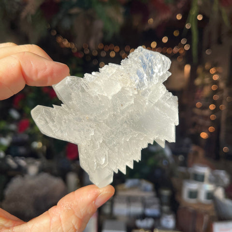 Ravenstone Crystals Angel Wing Selenite "Helly"