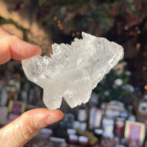 Ravenstone Crystals Angel Wing Selenite "Mark"