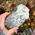 Ravenstone Crystals Apophyllite "Camilla"
