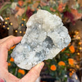 Ravenstone Crystals Apophyllite "Tim"