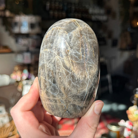 Ravenstone Crystals Black Moonstone "Manny"