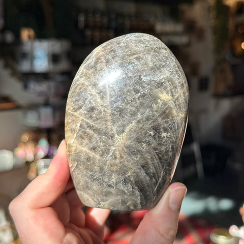 Ravenstone Crystals Black Moonstone "Nadia"