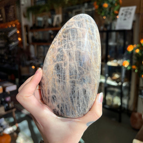 Ravenstone Crystals Black Moonstone "Winston"