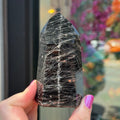 Ravenstone Crystals Black Tourmaline "Courtney"