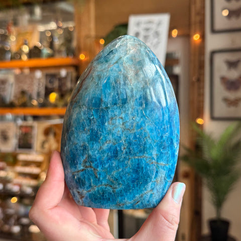 Ravenstone Crystals Blue Apatite "Delta"