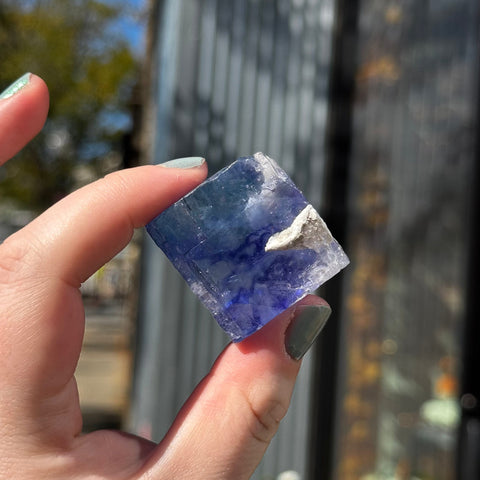 Ravenstone Crystals Blue Halite "Dominic"