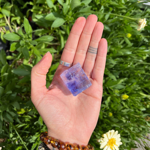 Ravenstone Crystals Blue Halite "William"