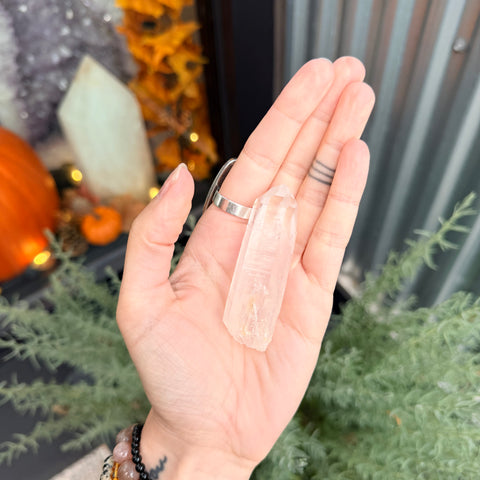 Ravenstone Crystals Blue Smoke Golden Healer Quartz "Silas"