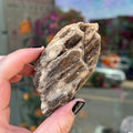 Ravenstone Crystals Brilliant Wood "Yolanda"