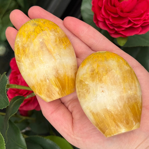 Ravenstone Crystals Bumblebee Jasper