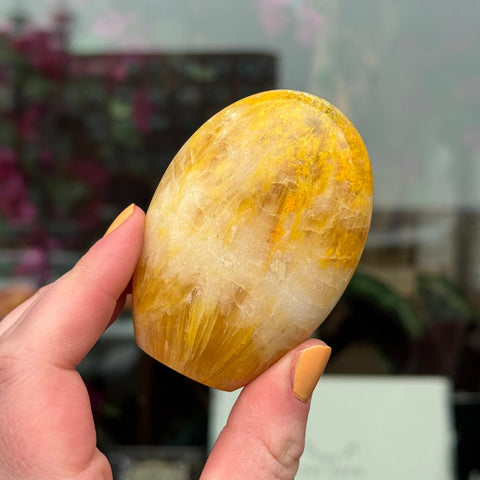 Ravenstone Crystals Bumblebee Jasper
