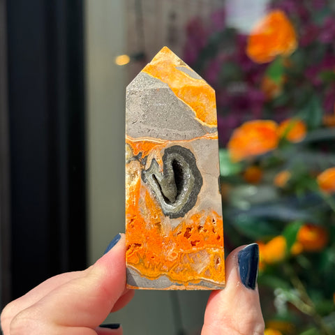 Ravenstone Crystals Bumblebee Jasper "Daphne"