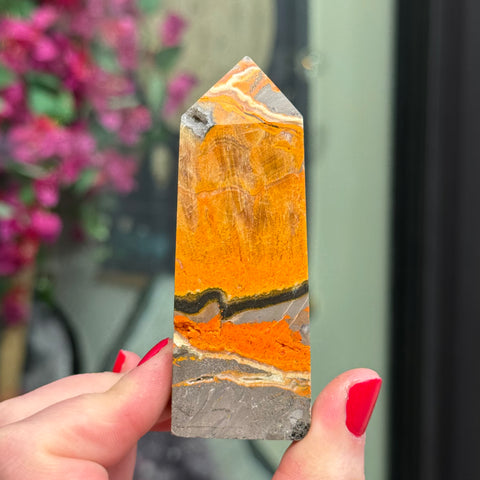 Ravenstone Crystals Bumblebee Jasper "Hector"