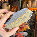 Ravenstone Crystals Bumblebee Jasper "Lisa"