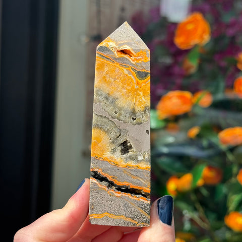 Ravenstone Crystals Bumblebee Jasper "Romeo"