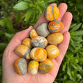 Ravenstone Crystals Bumblebee Jasper Tumble