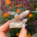 Ravenstone Crystals Cactus Amethyst "Allison"