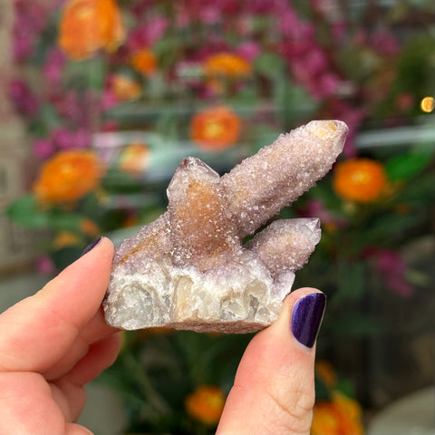 Ravenstone Crystals Cactus Amethyst "Allison"