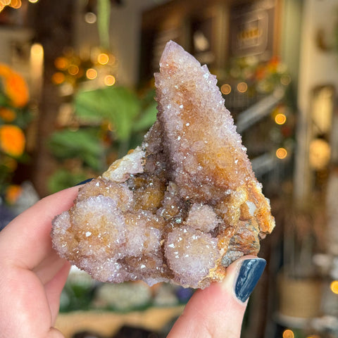 Ravenstone Crystals Cactus Amethyst "Beth"