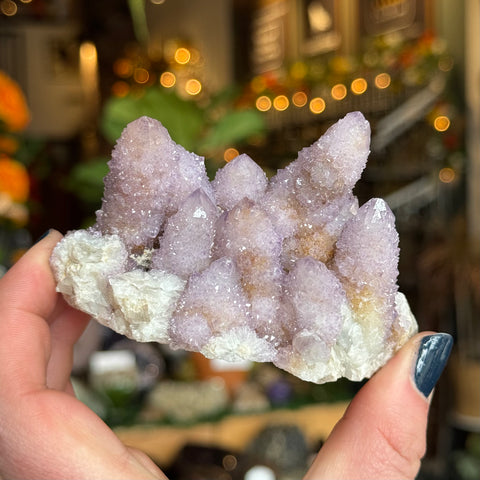 Ravenstone Crystals Cactus Amethyst "Brianna"