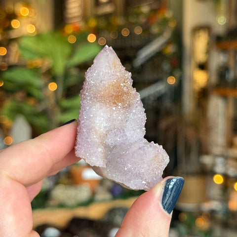 Ravenstone Crystals Cactus Amethyst "Lucy"