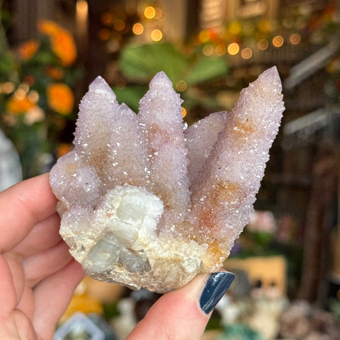 Ravenstone Crystals Cactus Amethyst "Mindy"