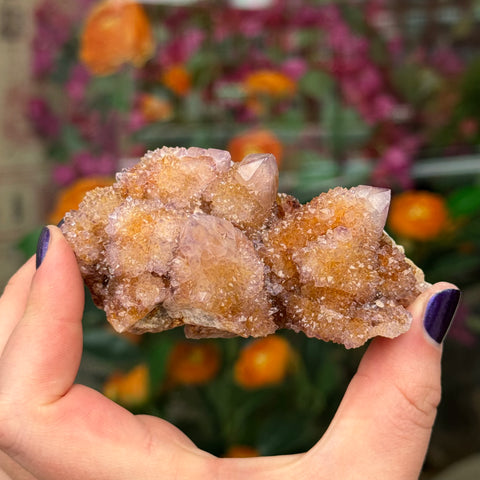 Ravenstone Crystals Cactus Amethyst "Nathan"