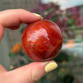 Ravenstone Crystals Carnelian "Harley"