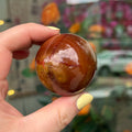 Ravenstone Crystals Carnelian "Wilson"