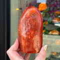 Ravenstone Crystals Carnelian "Ximena"