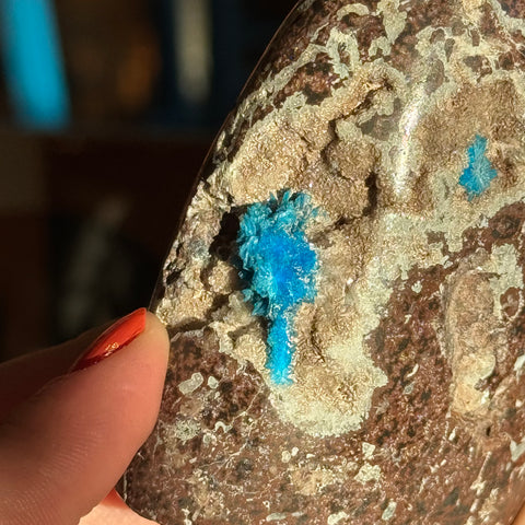 Ravenstone Crystals Cavansite "Flora"