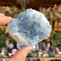 Ravenstone Crystals Celestite "Charlotte"